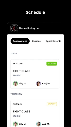 Nemea Boxing Screenshot 2
