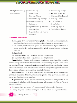 Class 12 Biology Screenshot 2