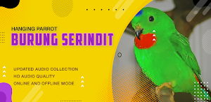 Suara Serindit: Hanging Parrot Screenshot 1