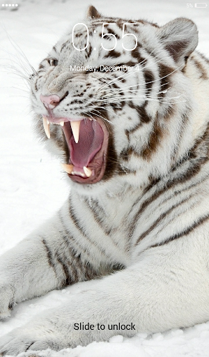 White Tigers Lock Screen Wallp Screenshot 2