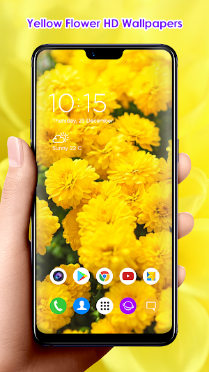 Yellow Flower HD Wallpapers Screenshot 3