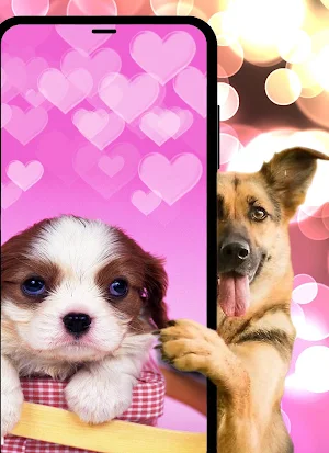 Dogs & puppies Wallpapers HD+ Screenshot 2