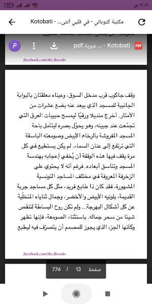 رواية في قلبي انثى عبرية PDF Screenshot 0