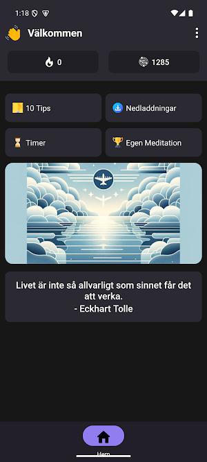 Flygvapnets Meditation Screenshot 0