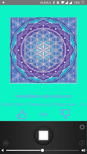 LiveMeditation Screenshot 0
