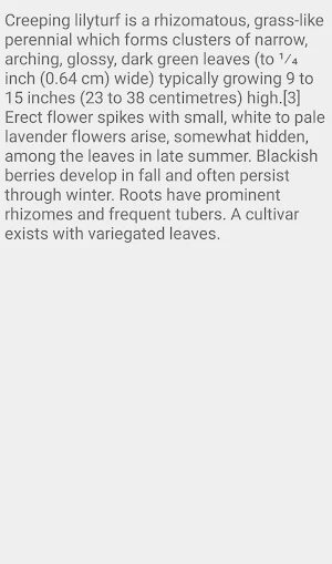 Lilyturf Groundcover Flower Screenshot 2