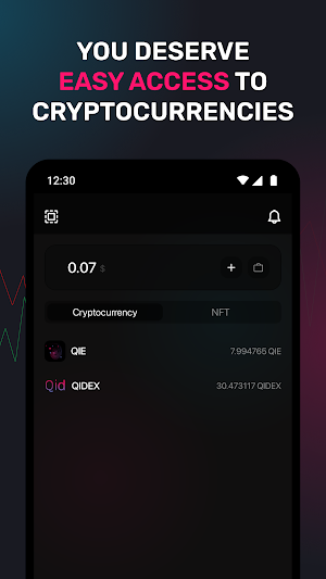 QIE Wallet Screenshot 1