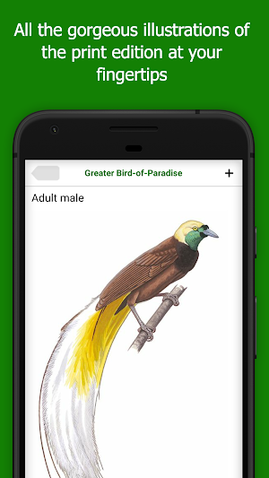 Birds of New Guinea Screenshot 2