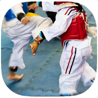 Taekwondo Moves Guide
