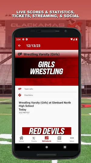 Hinsdale Central Athletics Screenshot 2
