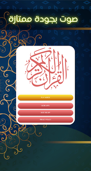 القارئ عمر الدريويز- بدون نت Screenshot 2