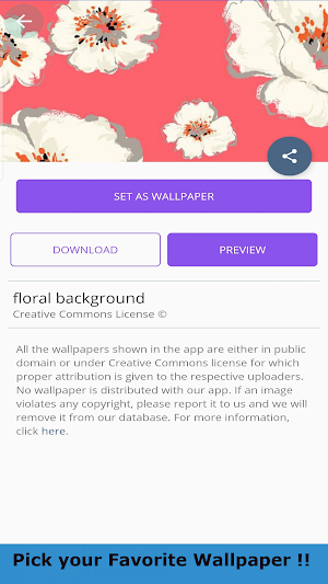 Floral Background Wallpaper Screenshot 1