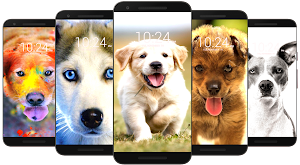 🦮 Dog Wallpaper HD 🦮 Screenshot 1