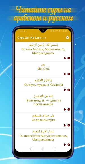 Сура Ясин и Мулк (mp3) + короткие суры Корана. Screenshot 2