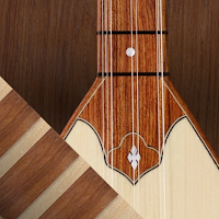 Bağlama Sim