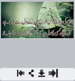 Phool Shayari Screenshot 1