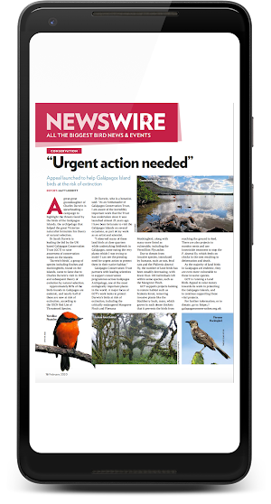 Bird Watching Magazine Screenshot 2