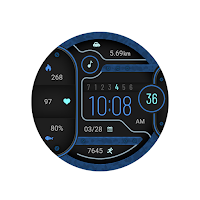 Flat Sponge For Wear OS