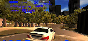 Car Game In The Forest3 Screenshot 2