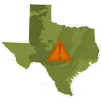 Texas Invasives
