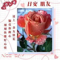 日安