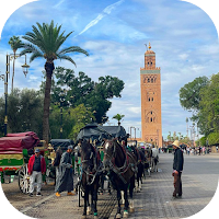 Découvrir Marrakech