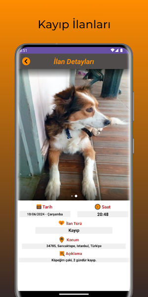 KayıPet - Kayıp & Yuva İlanı Screenshot 1
