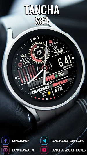 Tancha S84 Dashboard WatchFace Screenshot 3