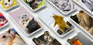 Cute Animals Wallpaper Offline Screenshot 0