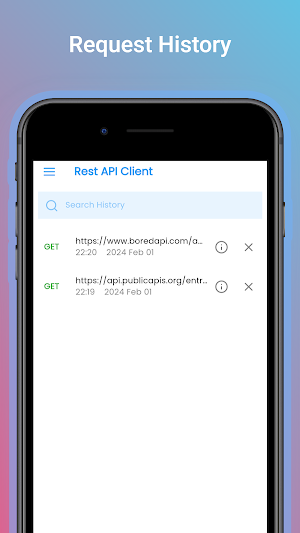 Rest API Client Screenshot 2