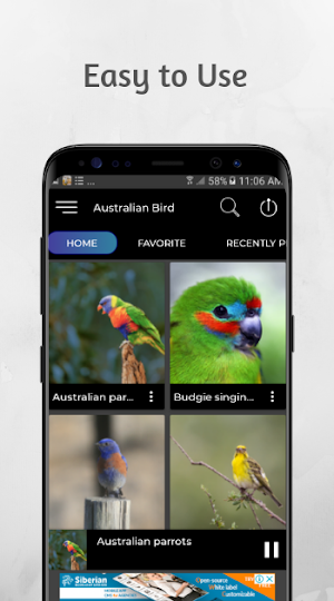 Australian Bird Sounds Screenshot 1
