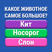 Знания Сила : Викторина