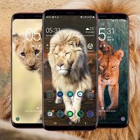 Lion Wallpaper