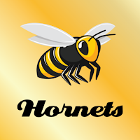 Aspley Hornets Club
