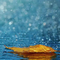 Stress Relief : Relaxing Music