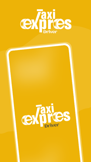 Taxi Express Driver Screenshot 0