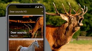 Deer sounds - Deer Hunting Calls Screenshot 1