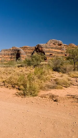 Off road Driving Wallpaper Screenshot 2