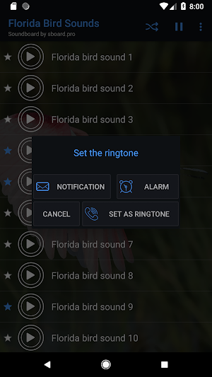 Florida bird sounds ~ Sboard.pro Screenshot 2