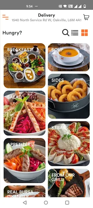 Bursa Kebap Screenshot 1