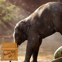 baby elephant wallpaper