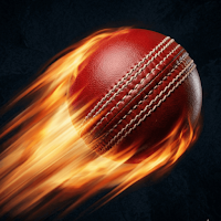 Turf Cricket Scorer
