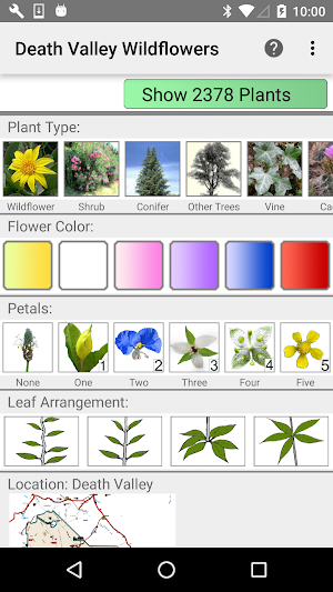 Death Valley Wildflowers Screenshot 0