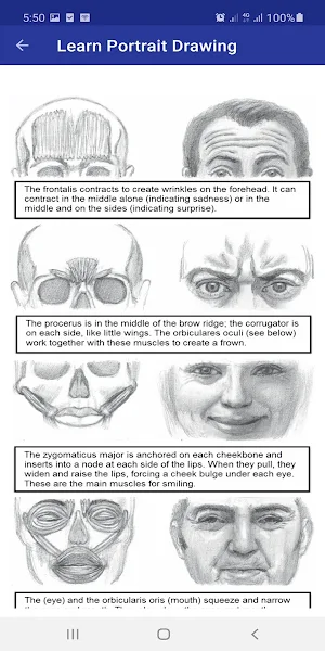 Drawing Portrait Guide Step by Step Screenshot 2
