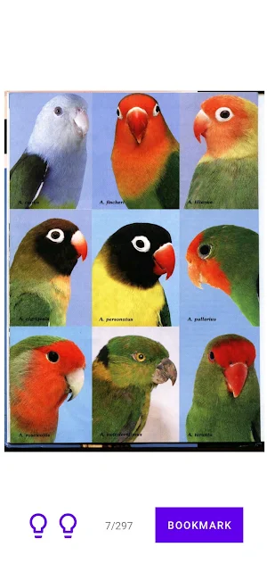 Lovebirds Breeding Screenshot 1