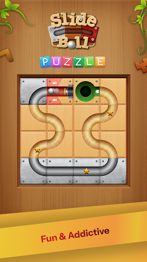 Slide The Ball Puzzle Game Screenshot 2
