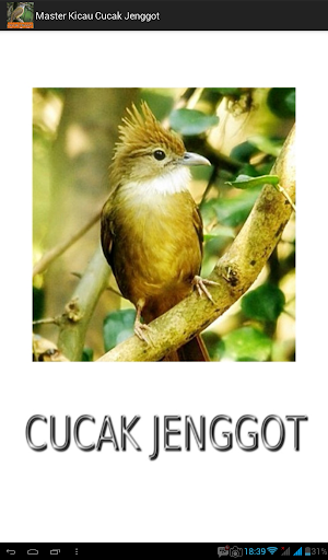 Master Kicau Cucak Jenggot Screenshot 0