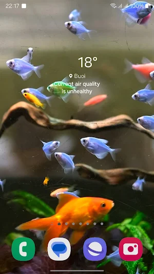 3D Fish Tank Live Wallpaper Screenshot 0