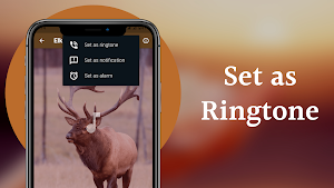 Elk Sounds & Hunting Calls Screenshot 3