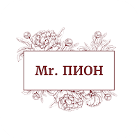 Mr.ПИОН | Ростов-на-Дону